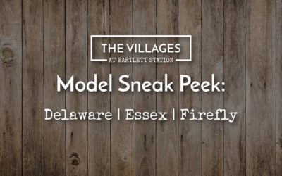 Model Sneak Peek: The Delaware, Essex & Firefly